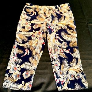 Capris, Kate Park, size 1X, Blue, Tan, Rust